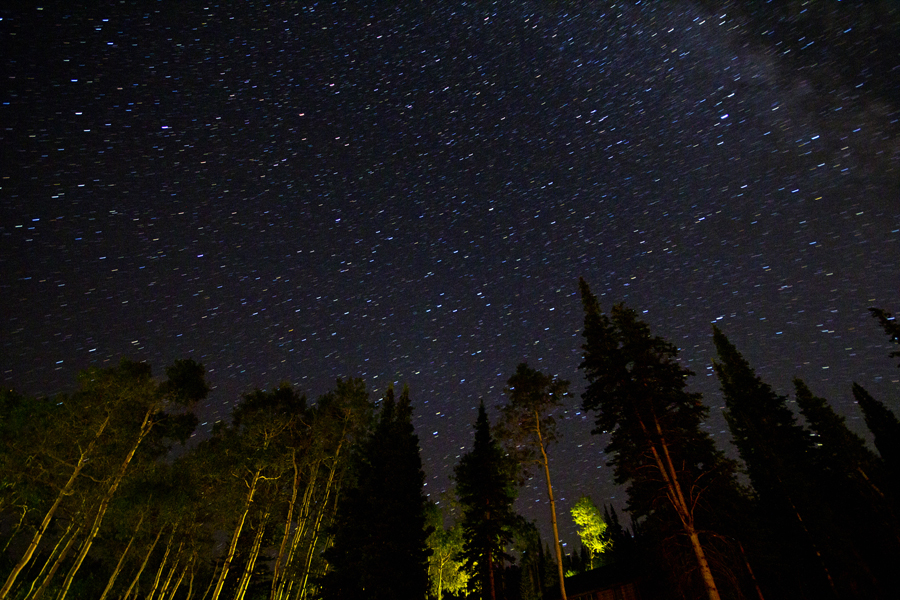 Stars & Trees at midnight